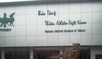 Một ngày ở Bảo tàng Thiên nhiên Việt Nam