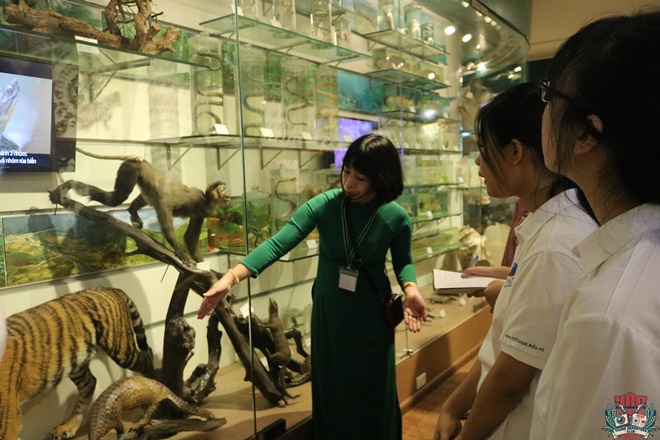 Hoạt động trải nghiệm bổ ích tại Bảo tàng Thiên nhiên Việt Nam của học sinh khối 10